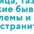 Вебинар Поясница таз ноги какие бывают проблемы и как их устранить 11 10 23