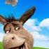 Cute Moment Of Farm Animals With Their Name And Sound Cow Rabbit Horse Pig Hen And More