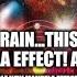 This Is Your Brain This Is Your Brain On Mandela Effect Any Questions New Evidence