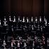 Music Is Life T Hengelbrock Balthasar Neumann Choir Ensemble Documentary