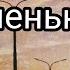 Короче говоря я жирненькая в авакин лайф