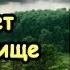 Пукает влагалище
