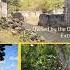 Documenting The Transatlantic Slave Trade