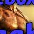 Baaghi 3 All Songs Tiger Shroff Shraddha Kapoor JukeBox