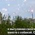 Summer мурманск автор Writer книги мысли север хаски