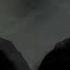 Solitude Of The Forest Vince Black Tech House Techno Music Solitude Forest