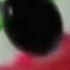 I K Ll3D The Gummy Bear Song We Are Number One