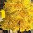Playlist Autumn With Jazz Exciting Jazz That Makes You Feel Good Relaxing Jazz Background Music