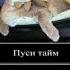 пуси тайм пуси клин пуси фреш