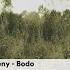 Neny Bodo
