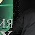Моя коллекция ROLEX