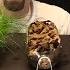 Erosion And Soil