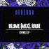 Blume MEX RADR Hybrid Original Mix