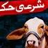 Kya Qurbani Aur Aqeeqah Aik Sath Jaiz Qurbani Ke Masail Bakra Eid Special Maulana Ilyas Qadri
