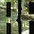 The Forest Soundtrack Casette 5 Looped