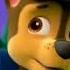 Skase Tribute Edit For ChaseThePuppy