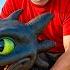 How To Train Your Dragon In Real Life