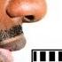 Wretch 32 Feat Example Unorthodox Audio