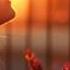 Aly Fila Meets Roger Ft Shah Susana Unbreakable Extended Mix