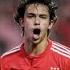 Joao Felix Señorita Shawn Mendes Camila Cabello Skills And Goals HD 2019Goals HD 2019 2020