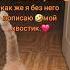 мой хвостик