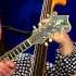 Foghorn Stringband Innocent Road