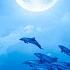 Deep Sleep Music Calming Music For Sleep Fall Asleep Stress Relief Meditation Music