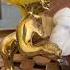 Pran Pratishtha 1Day Krishn Laddu Gopal