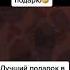 Самый лучший подарок в мире
