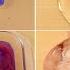 Rainbow Slime Coloring Compilation ASMR Most Satisfying Slime Video