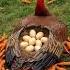 Mother Bird Protecting Her Hatching Eggs Salamanders Are Attacking The Bird Nest Birds Mother