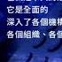 傅政華落馬 官方罪名未定 血債已被曝光