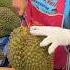 Thai Woman Selling Giant Durian Fruit Cutting Skills