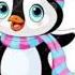 о це галерея Shortsvideo Short Shorts Shortvideo пінгвіни Pinguin галерея