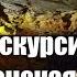 Экскурсия Новоафонская пещера Абхазия 2021