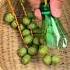 Easy Fruit Harvesting Method Plastic Bottle Hack