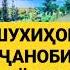 ШУХИҲОИ ПАЁМБАР МУҲАММАД С А В