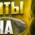 Самые яркие хиты шансона