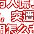 10万人慌了 翻倍大牛股 突遭立案调查 下周怎么走 股民 隔夜挂跌停 先跑为敬