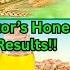 Stop Hair Fall In 3 Days Regrow New Hair Get Thick Long Hair Gehu Remedy By Dr Madiha Bhayani