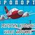 Мультики Которые Убрали С Канала карусель и больше не показывают