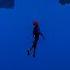 Spider Man Into The Spider Verse Post Malone Swae Lee Sunflower No Lyrics
