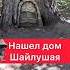 НАШЕЛ ШАЙЛУШАЯ В ЛЕСУ ШАЙЛУШАЙ шайлушай Shorts