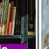 ETGAR KERET MENTIRALANDIA Audio Cuento Leído Por Andrea Butler Tau