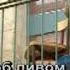 Море пива Караоке DVDrip