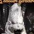 Chant Sri Narasimha Gayatri Mantra 3 Times A Day Keep Negativity Away Narasimha Vishnubhajan