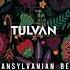 TULVAN Transylvanian Beat Original Mix