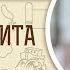 Книга Товита Глава 11 Андрей Десницкий Ветхий Завет