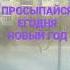31 декабря 2023 г