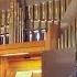 Prelude And Fugue In D Minor BWV 539 I Prelude